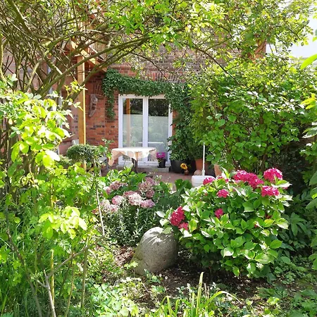 Lägenhet Charmante In Mit Terrasse Und Gri By Interhome Dassow